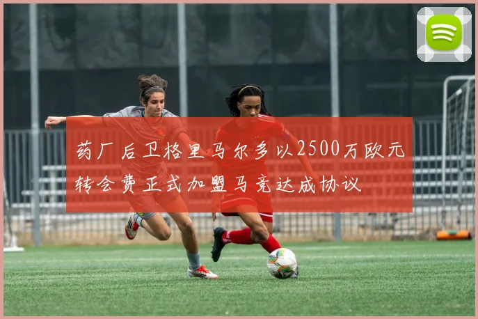 药厂后卫格里马尔多以2500万欧元转会费正式加盟马竞达成协议