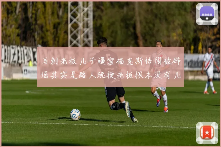马刺老板儿子逼宫福克斯传闻被辟谣其实是路人玩梗老板根本没有儿子